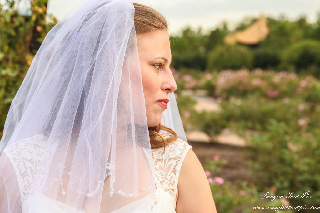 McGovern Centennial Gardens Bridal session in the botanical gardens (8)