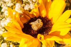 The Woodlands Country Bridals-40