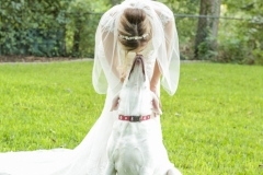 Austin Texas Bridals-46