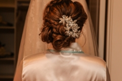 Balmorhea Wedding (13)