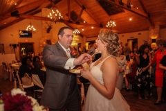 Balmorhea Wedding (66)