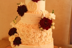 Balmorhea Wedding (9)