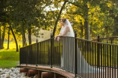 Balmorhea Bridal Portraits