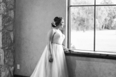 Balmorhea Bridal Portraits