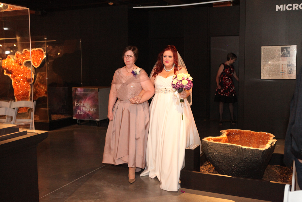 HMNS Sugar Land Wedding (20)