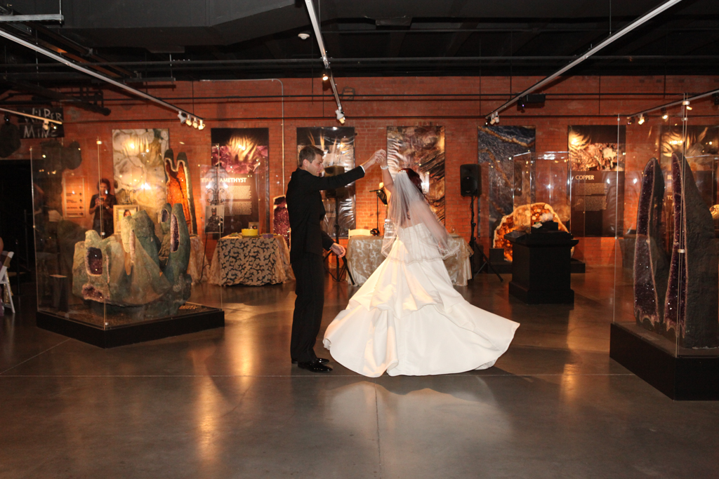 HMNS Sugar Land Wedding (39)