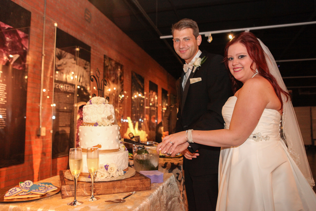 HMNS Sugar Land Wedding (41)