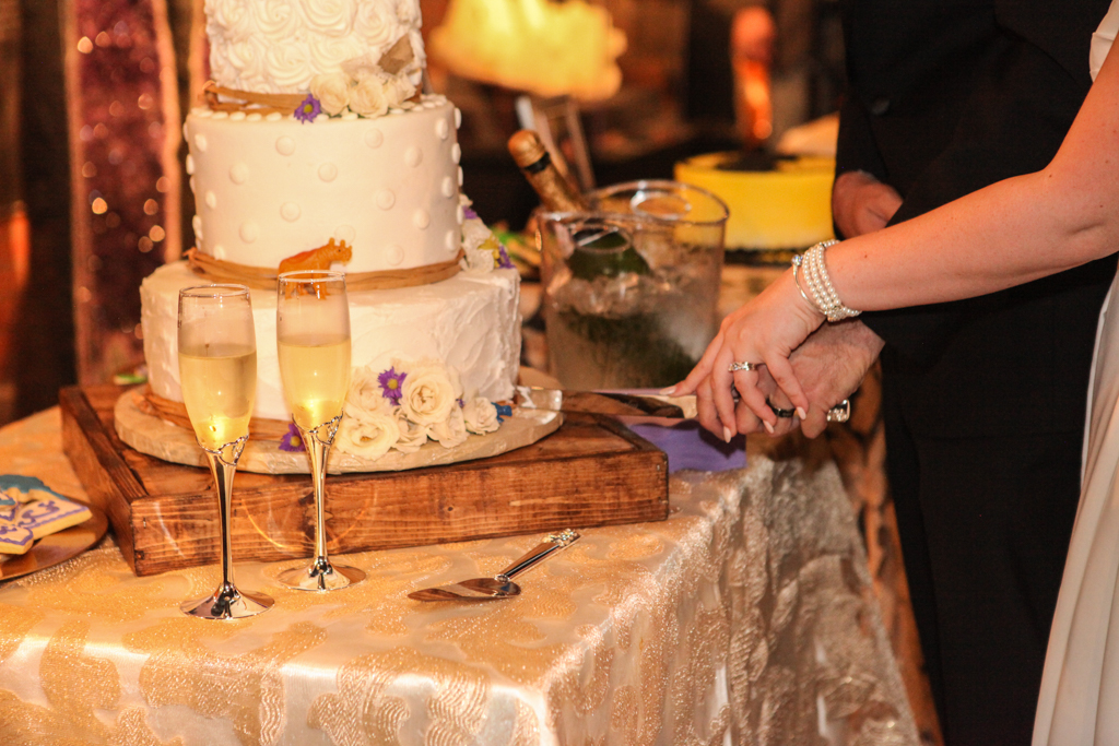 HMNS Sugar Land Wedding (42)
