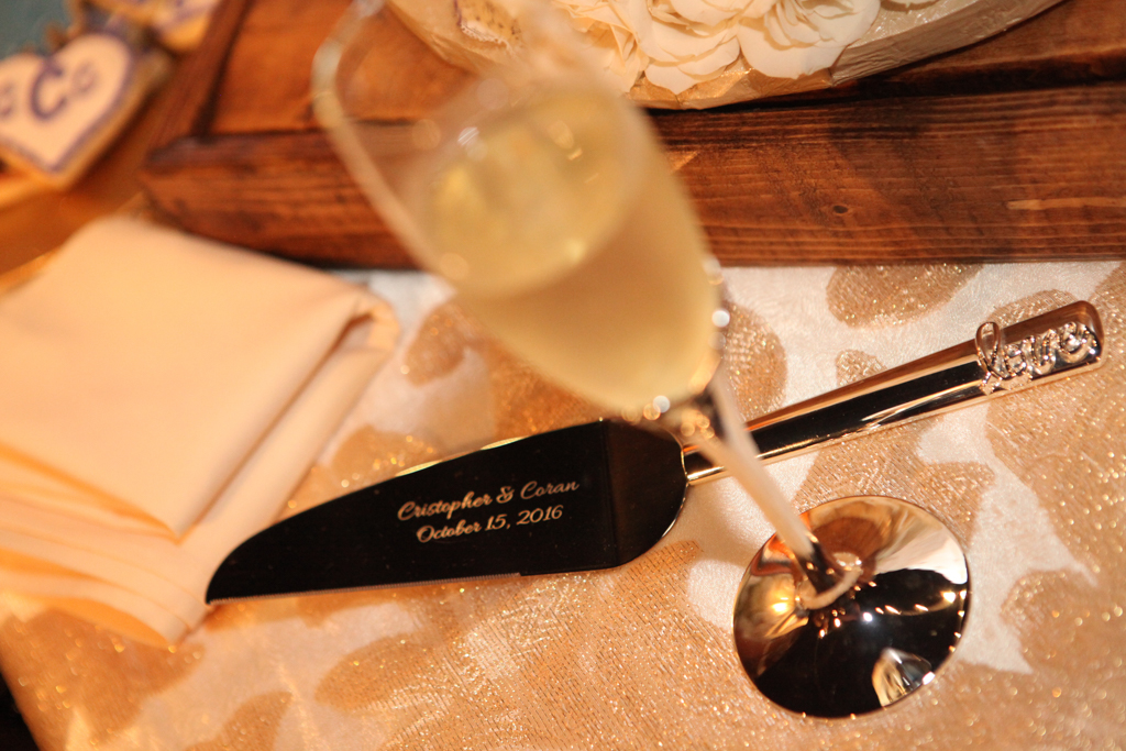 HMNS Sugar Land Wedding (44)