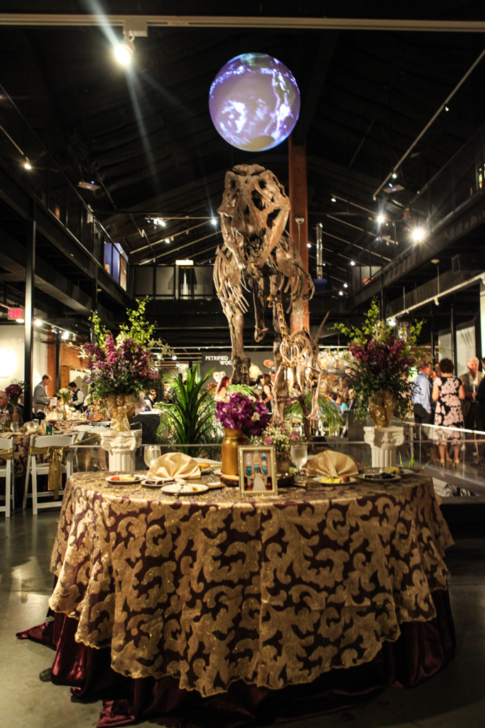 HMNS Sugar Land Wedding (47)