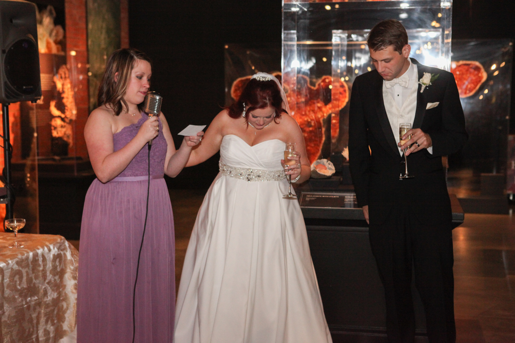 HMNS Sugar Land Wedding (48)