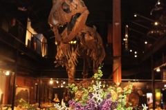 HMNS Sugar Land Wedding (10)
