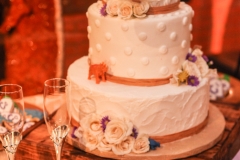 HMNS Sugar Land Wedding (12)