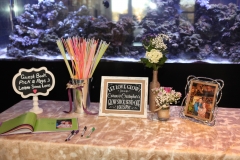 HMNS Sugar Land Wedding (13)