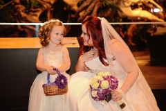 HMNS Sugar Land Wedding (15)