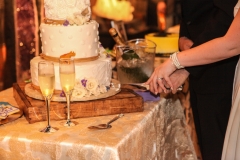 HMNS Sugar Land Wedding (42)
