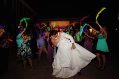 HMNS Sugar Land Wedding (57)