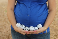 Diane Maternity Portraits