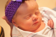 Kynlei Newborn Portraits