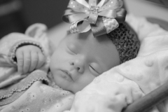 Kynlei Newborn Portraits