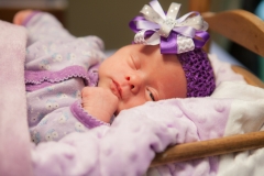 Kynlei Newborn Portraits