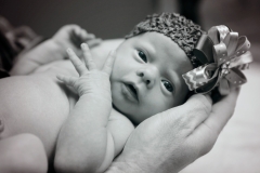 Kynlei Newborn Portraits