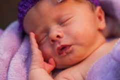 Kynlei Newborn Portraits