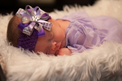 Kynlei Newborn Portraits