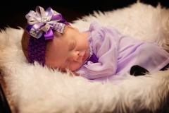 Kynlei Newborn Portraits