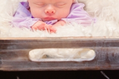 Kynlei Newborn Portraits