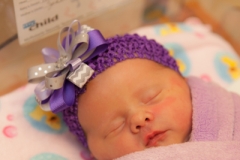 Kynlei Newborn Portraits