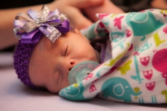 Kynlei Newborn Portraits