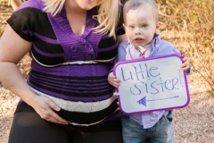 Stacy Maternity Portraits