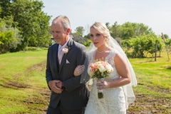 Bryan, Texas Vineyard Wedding-19