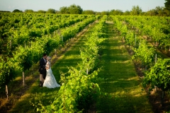 Bryan, Texas Vineyard Wedding-44