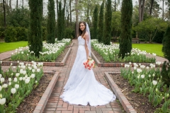 Mercer Arboretum