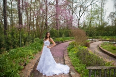 Mercer Arboretum