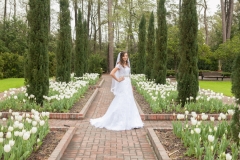 Mercer Arboretum