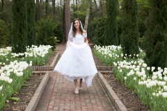 Mercer Arboretum