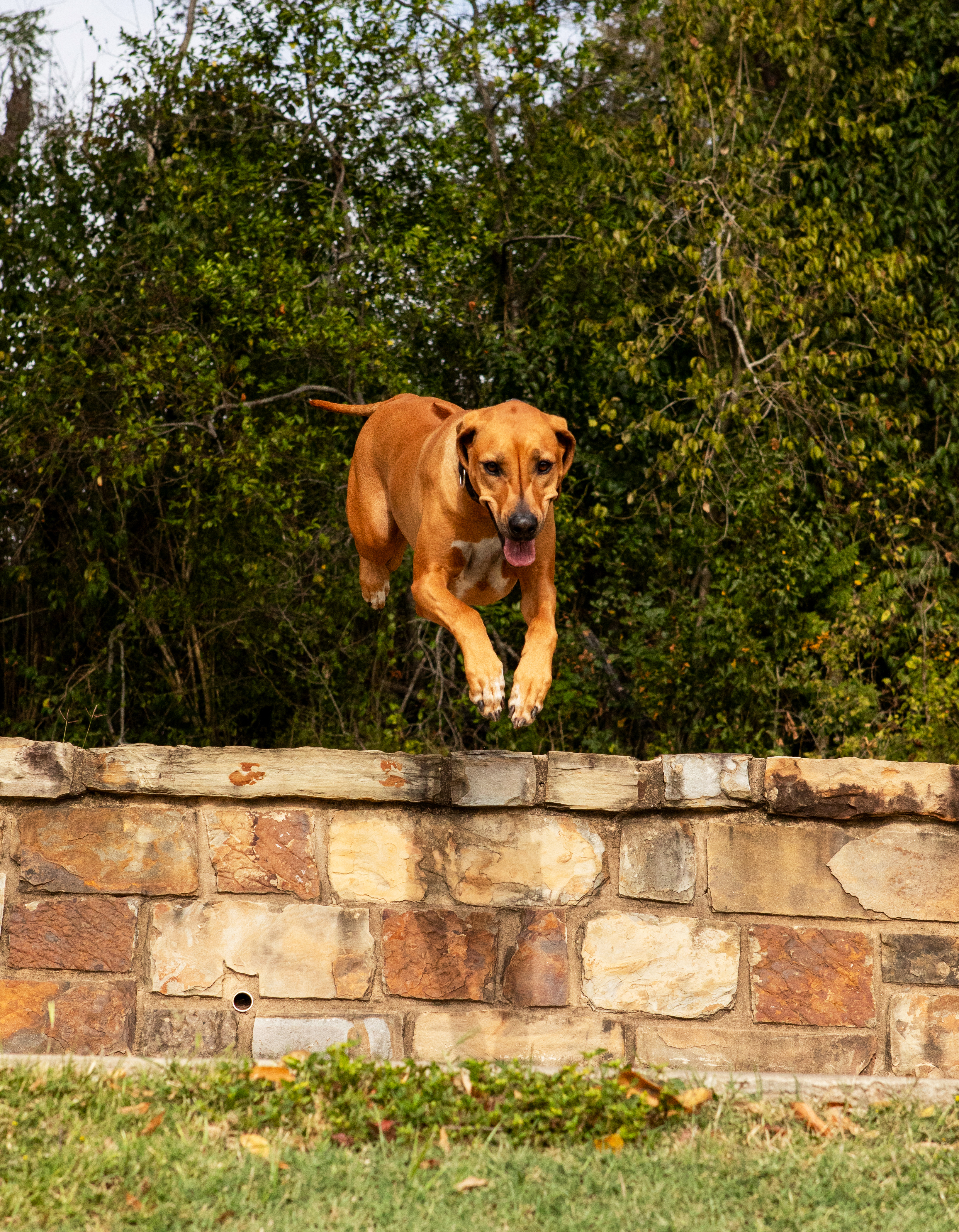 Wessendorf-Park-Family-Session-1