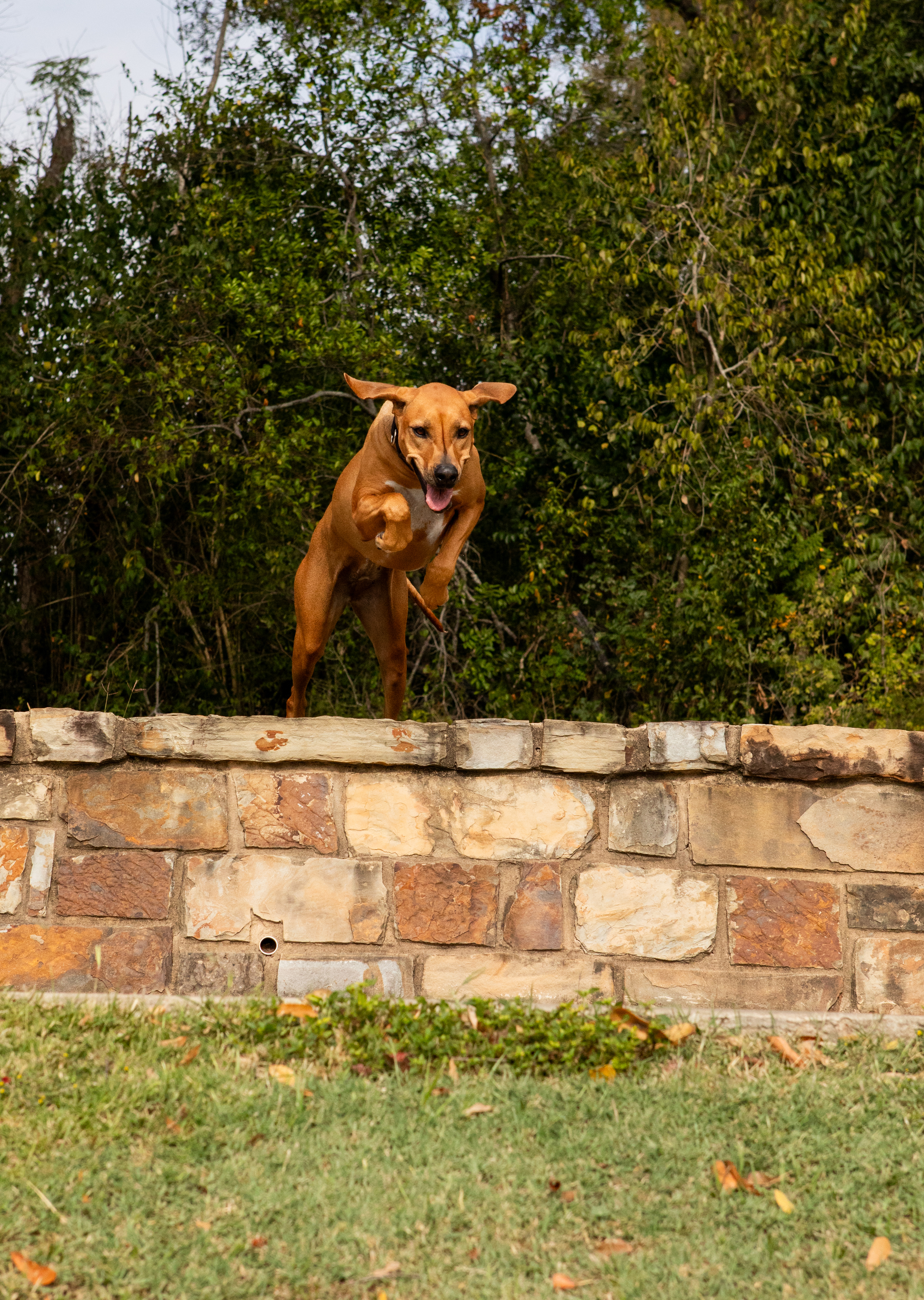 Wessendorf-Park-Family-Session-12